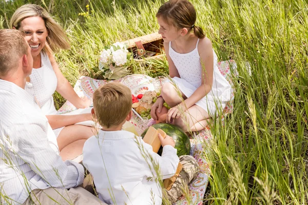 Familie op zomerpicknick — Stockfoto