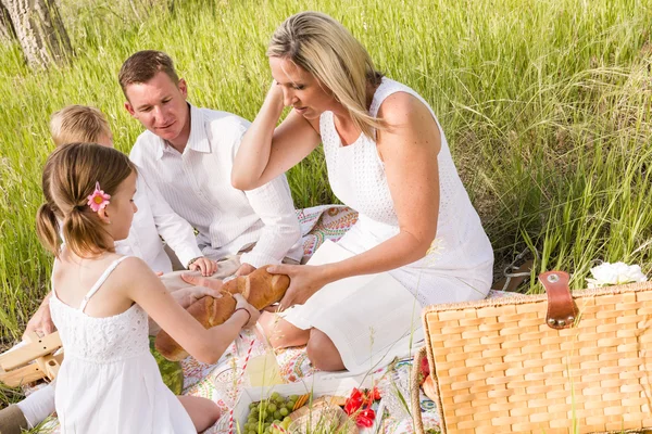 Familie beim Sommerpicknick — Stockfoto