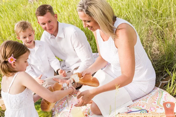 Familie på sommerpiknik – stockfoto