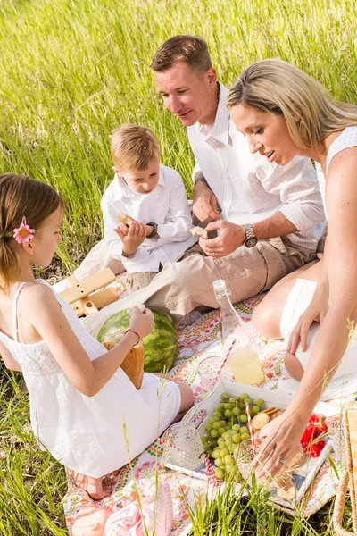 Familie beim Sommerpicknick — Stockfoto