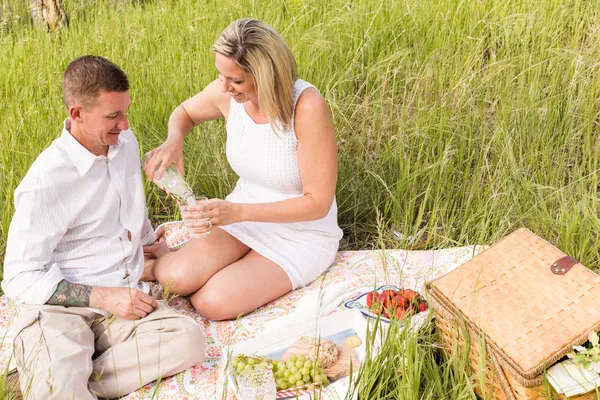 Family picnic — Stock Photo, Image