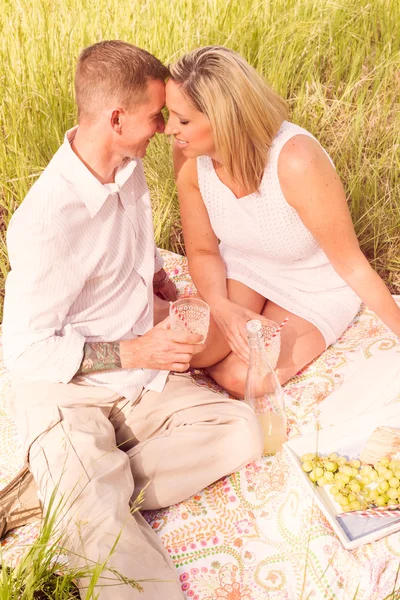 Family picnic — Stock Photo, Image