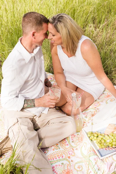 Family picnic — Stock Photo, Image