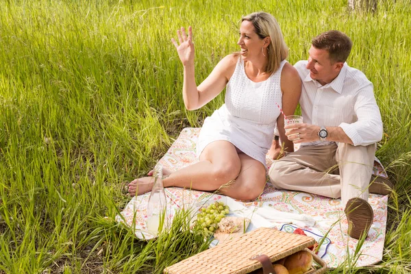 Family picnic — Stock Photo, Image