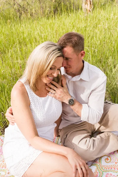 Familj picknick — Stockfoto