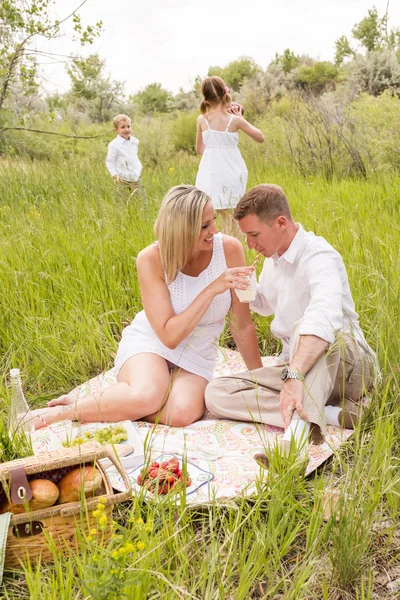 Семья на летний пикник — стоковое фото
