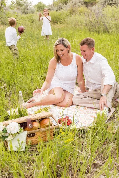 Familjen på sommar picknick — Stockfoto