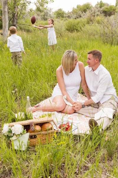 Famiglia su picnic estivo — Foto Stock