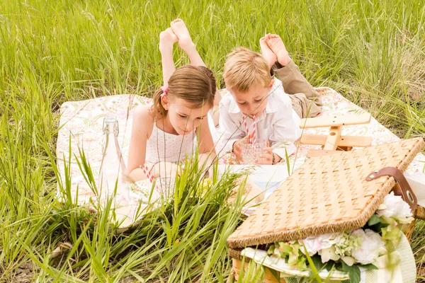Családi nyári piknik — Stock Fotó