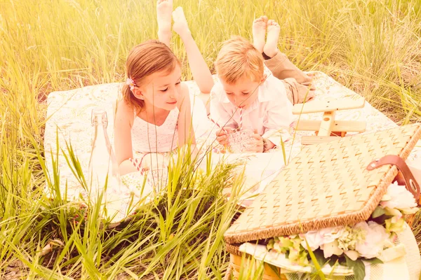 Family on summer picnic — Stock Photo, Image