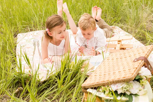 Family on summer picnic — Stock Photo, Image