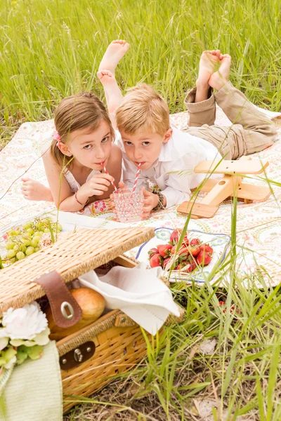 Famiglia su picnic estivo — Foto Stock