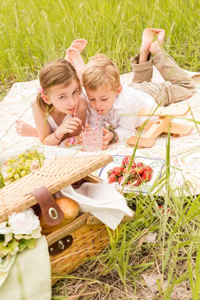 Rodziny na letni piknik — Zdjęcie stockowe