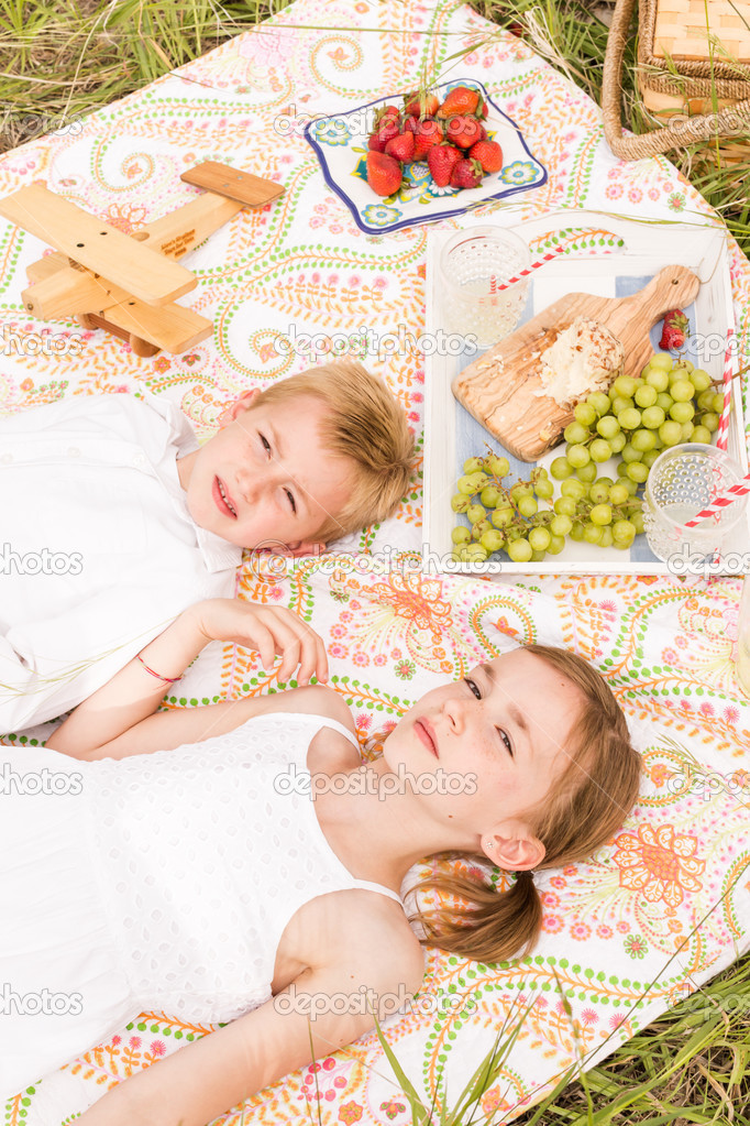 Family on summer picnic