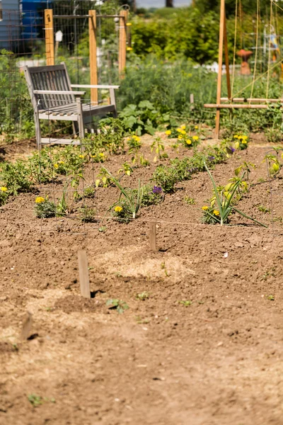 野菜の庭 — ストック写真