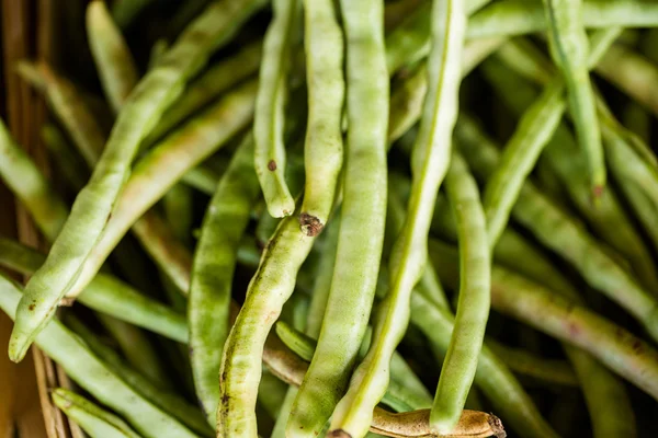 Fresh produce peas — Stock Photo, Image