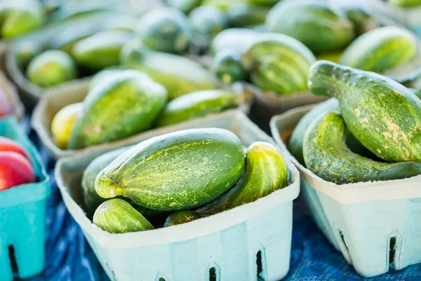 Fresh produce cucumbers — Stock Photo, Image