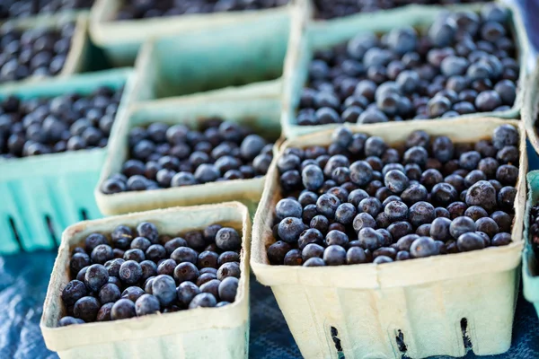 Fresh produce blueberries — Stock Photo, Image