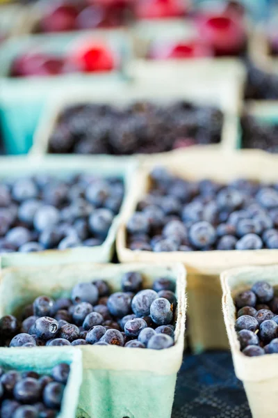 Fresh produce blueberries — Stock Photo, Image