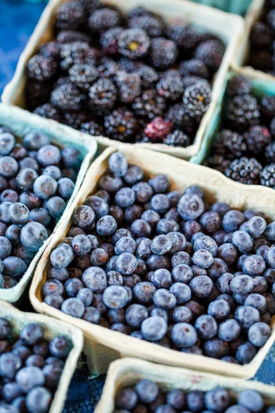 Fresh produce blueberries — Stock Photo, Image