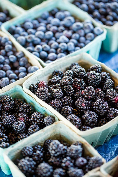 Frische Produkte Blaubeeren — Stockfoto