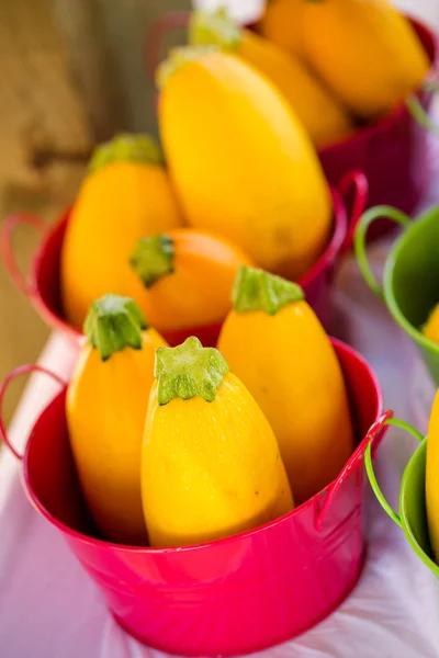 Fresh produce pumpkin — Stock Photo, Image