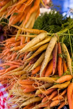 taze havuç üretmek