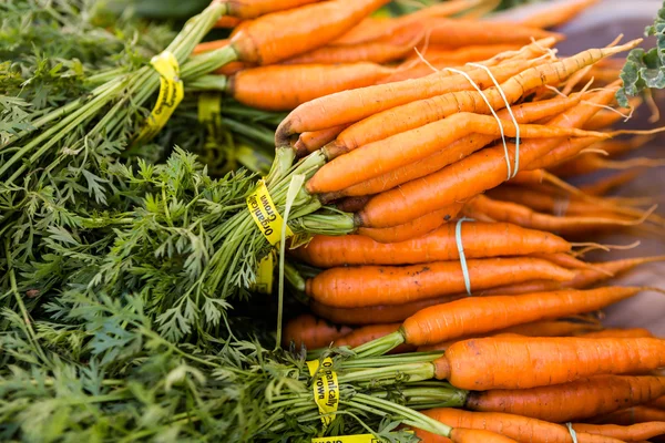 新鲜农产品胡萝卜 — 图库照片