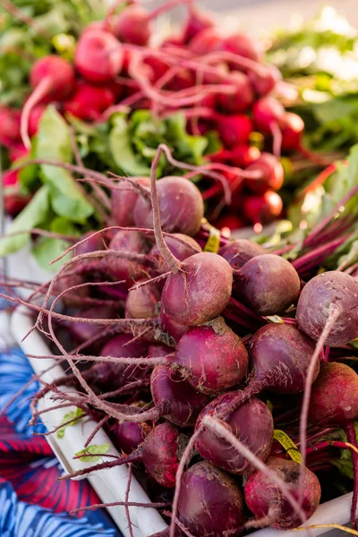 Färskvaror rödbeta — Stockfoto