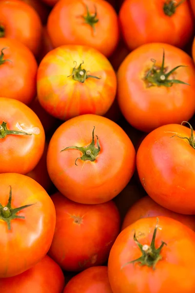 Fresh produce tomatoes — Stock Photo, Image