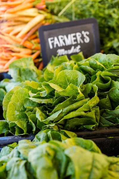 Fresh produce vegetables — Stock Photo, Image