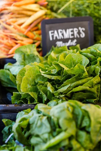 Färskvaror grönsaker — Stockfoto