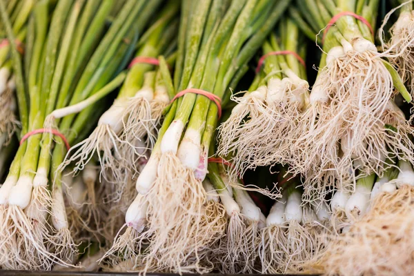 Fresh produce onion — Stock Photo, Image