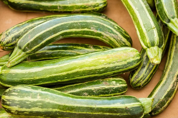 Fresh produce zucchini — Stock Photo, Image