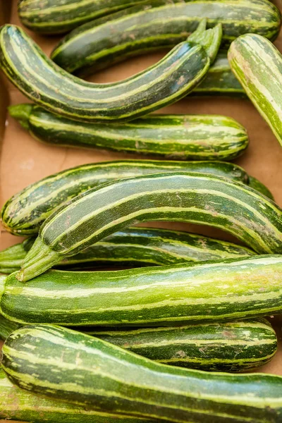 Färskvaror zucchini — Stockfoto