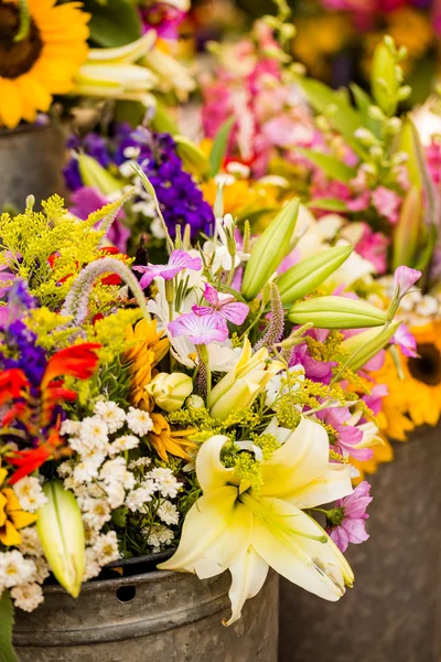 Fresh cut flowers — Stock Photo, Image