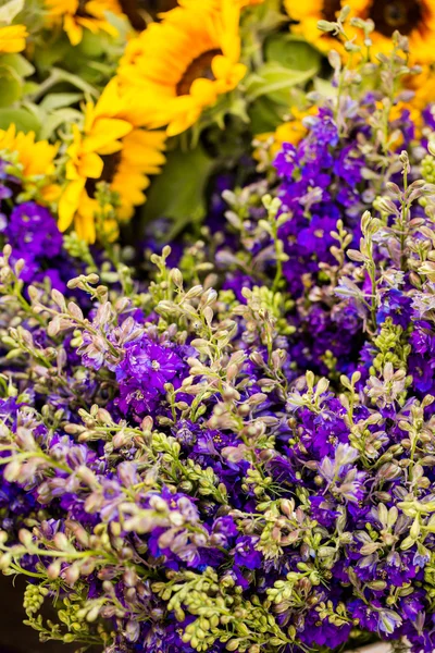 Frische Schnittblumen — Stockfoto