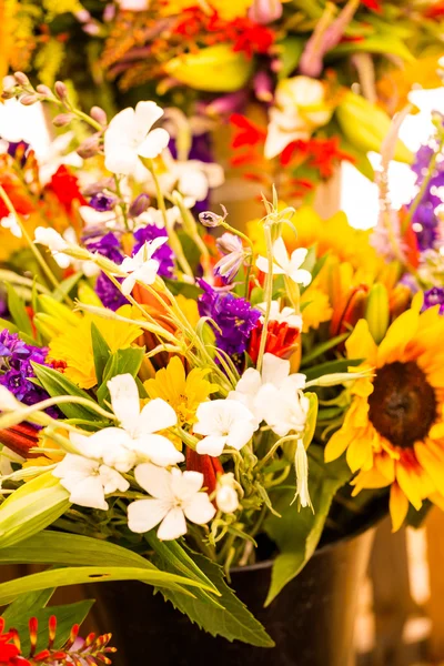 Flores frescas cortadas — Foto de Stock