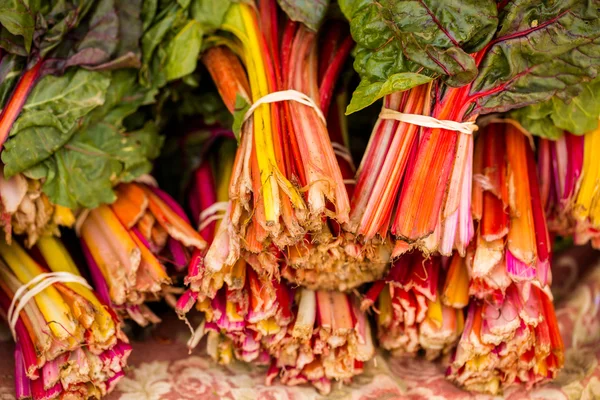 Świeżych warzyw i owoców rabarbar — Zdjęcie stockowe