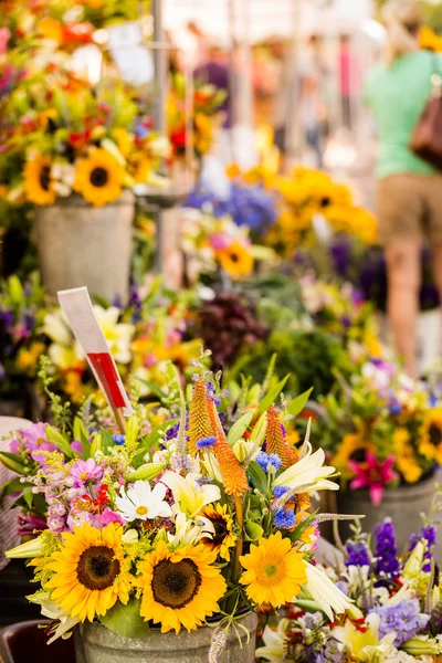 Fresh sunflowers — Stock Photo, Image