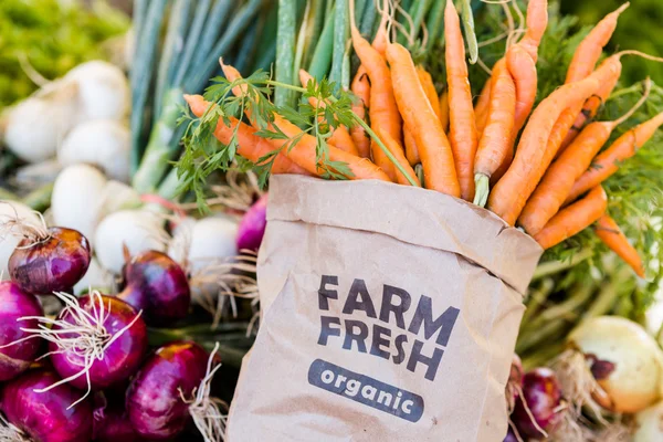 Fresh produce - vegetables — Stock Image Fresh produce - vegetables Royalty Free Stock Photos