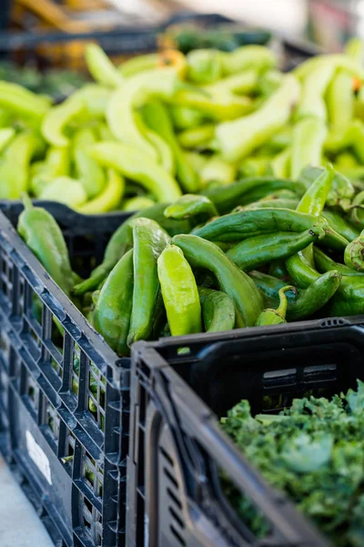 Frische Produkte — Stockfoto