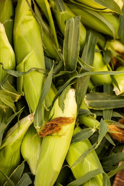 Produktów świeżych kukurydzy — Zdjęcie stockowe