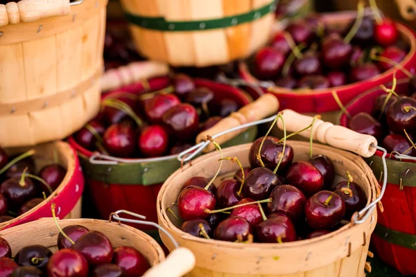 Fresh produce cherry — Stock Photo, Image