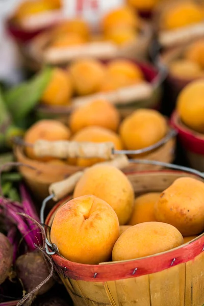 Čerstvé produkty meruňkový — Stock fotografie
