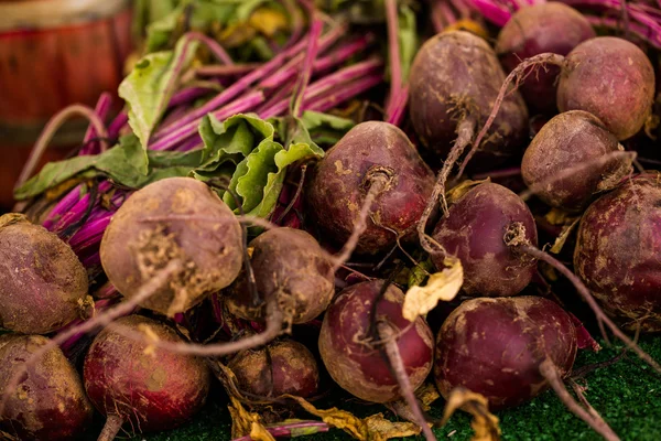 Remolacha fresca — Foto de Stock