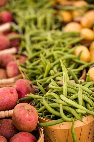 Produtos hortícolas frescos — Fotografia de Stock