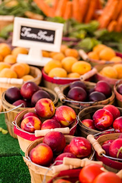 Fruits frais prune — Photo