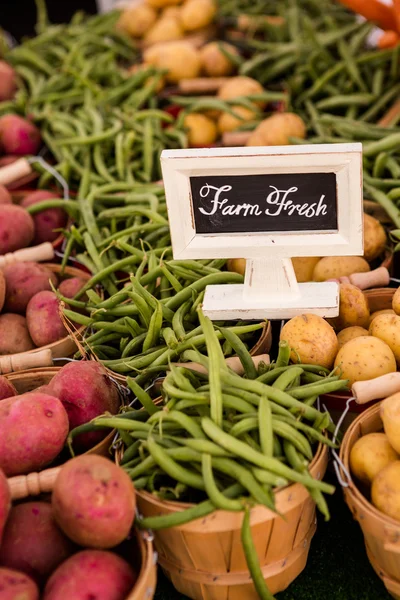 Fresh produce vegetables — Stock Photo, Image