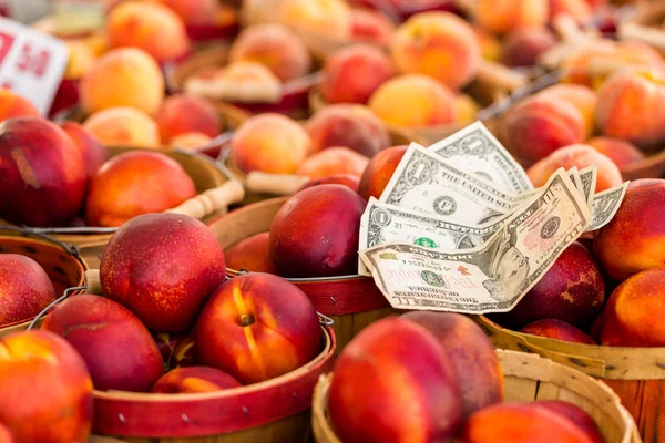 Fresh produce peach and dollar bills — Stock Photo, Image